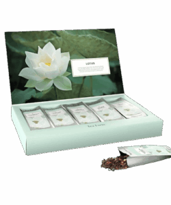 Tea Forté Single Steeps Lotus