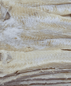 Bacalao Noruego por Kg