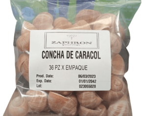 Concha de Caracol