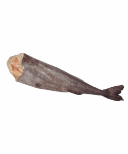 Bacalao Negro Black Cod